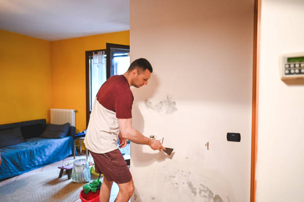 Best Mold Damage Repair  in Ruskin, FL